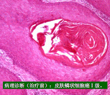 恒峰g22(国际)官网入口-每天有惊喜