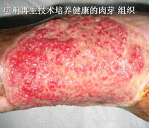 恒峰g22(国际)官网入口-每天有惊喜