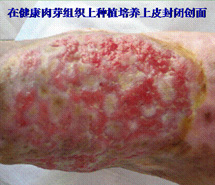 恒峰g22(国际)官网入口-每天有惊喜