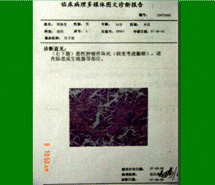 恒峰g22(国际)官网入口-每天有惊喜