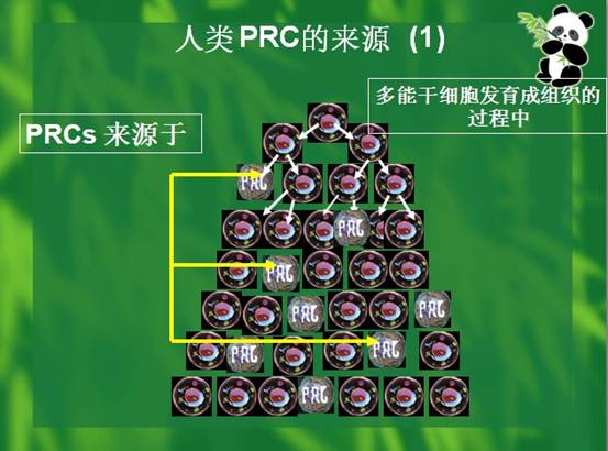 恒峰g22(国际)官网入口-每天有惊喜
