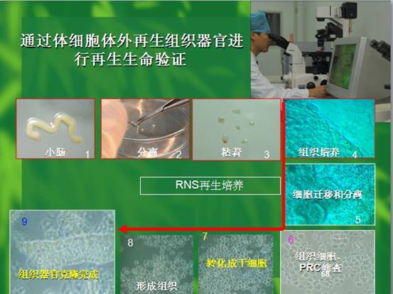 恒峰g22(国际)官网入口-每天有惊喜