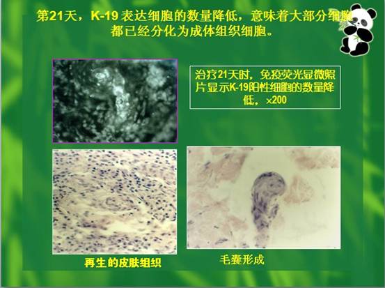 恒峰g22(国际)官网入口-每天有惊喜