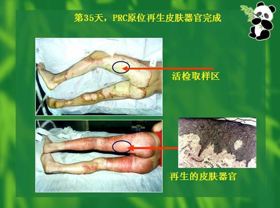 恒峰g22(国际)官网入口-每天有惊喜