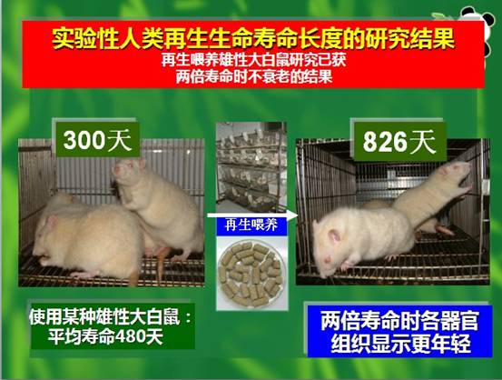 恒峰g22(国际)官网入口-每天有惊喜