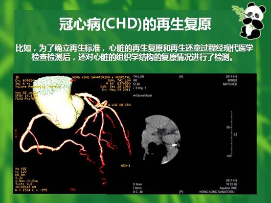 恒峰g22(国际)官网入口-每天有惊喜