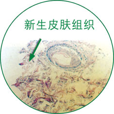 恒峰g22(国际)官网入口-每天有惊喜