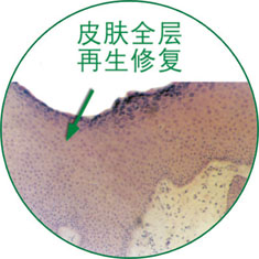 恒峰g22(国际)官网入口-每天有惊喜
