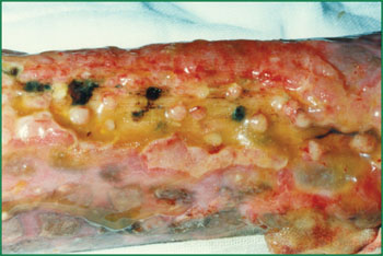 恒峰g22(国际)官网入口-每天有惊喜