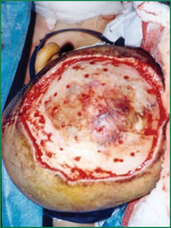 恒峰g22(国际)官网入口-每天有惊喜