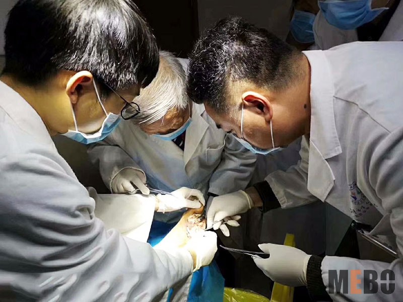 恒峰g22(国际)官网入口-每天有惊喜