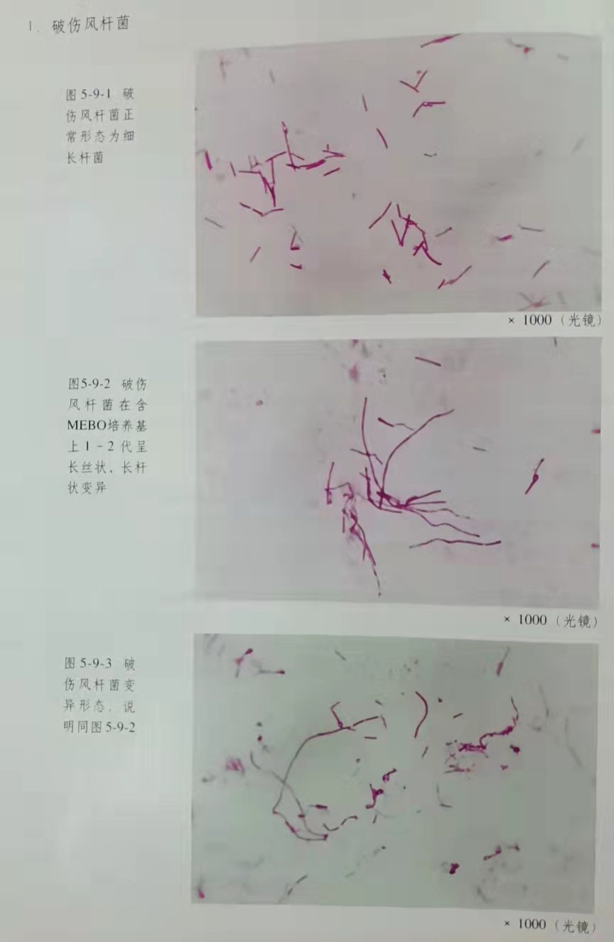 恒峰g22(国际)官网入口-每天有惊喜