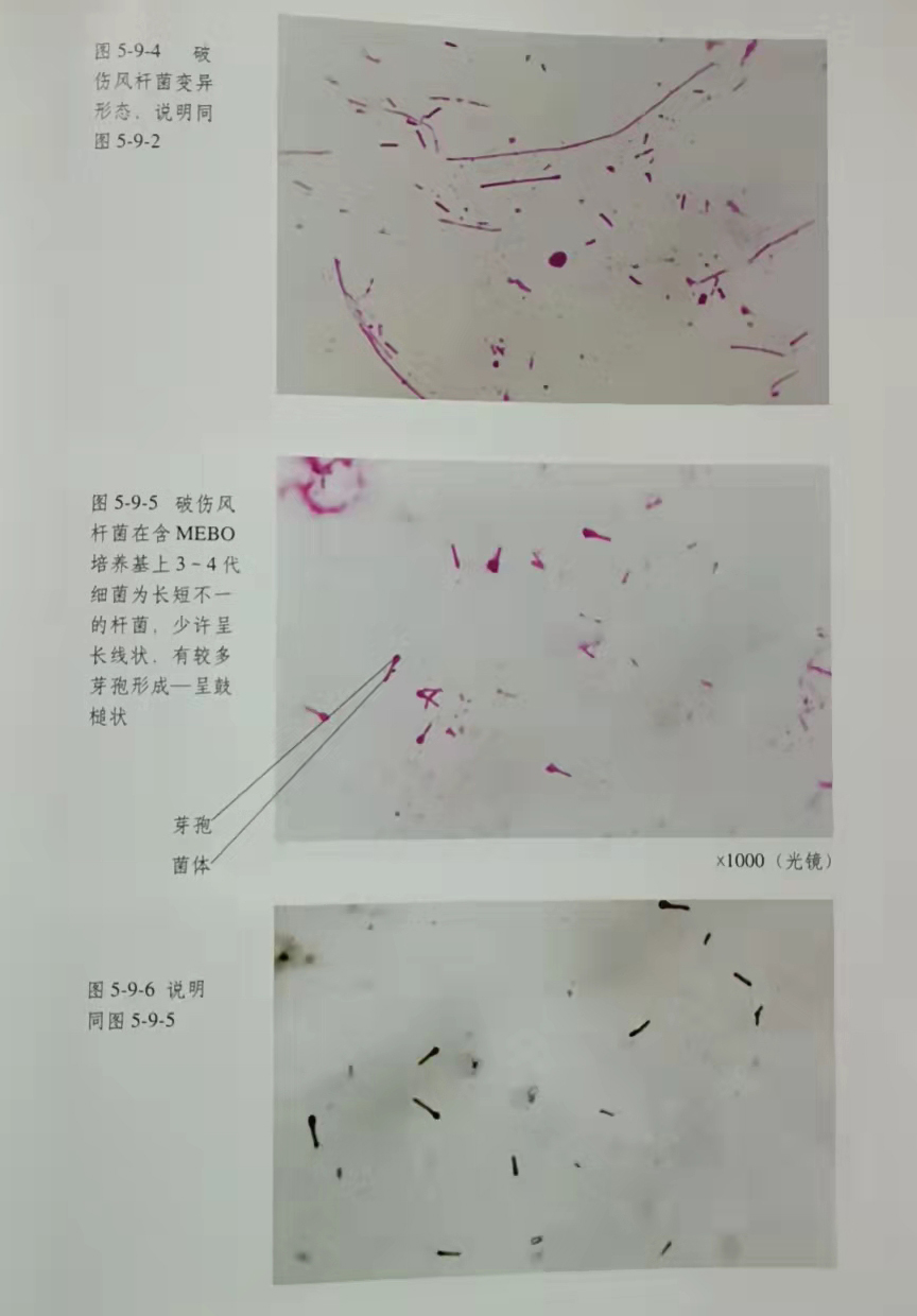 恒峰g22(国际)官网入口-每天有惊喜