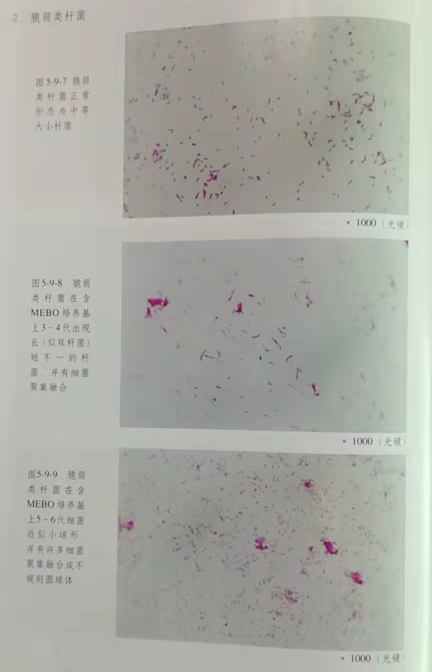恒峰g22(国际)官网入口-每天有惊喜