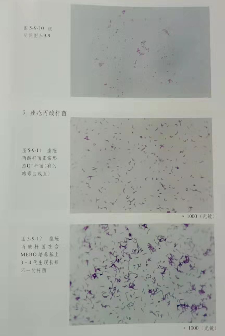 恒峰g22(国际)官网入口-每天有惊喜