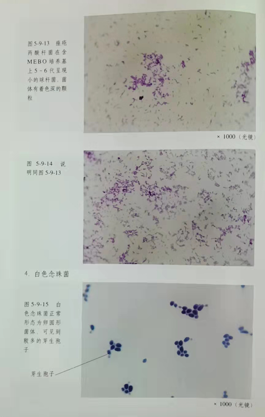 恒峰g22(国际)官网入口-每天有惊喜