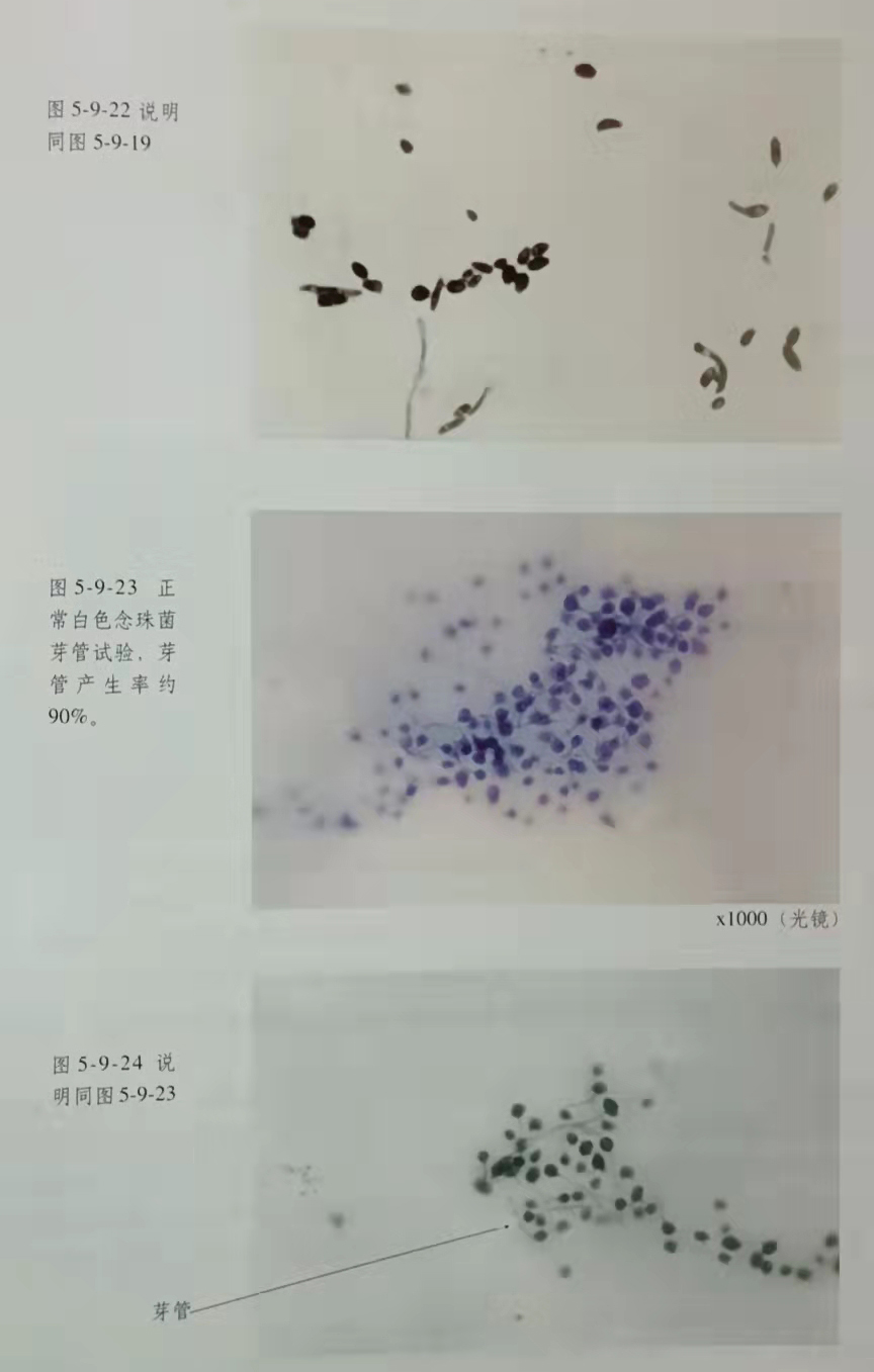 恒峰g22(国际)官网入口-每天有惊喜