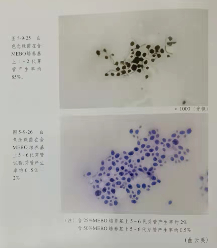 恒峰g22(国际)官网入口-每天有惊喜