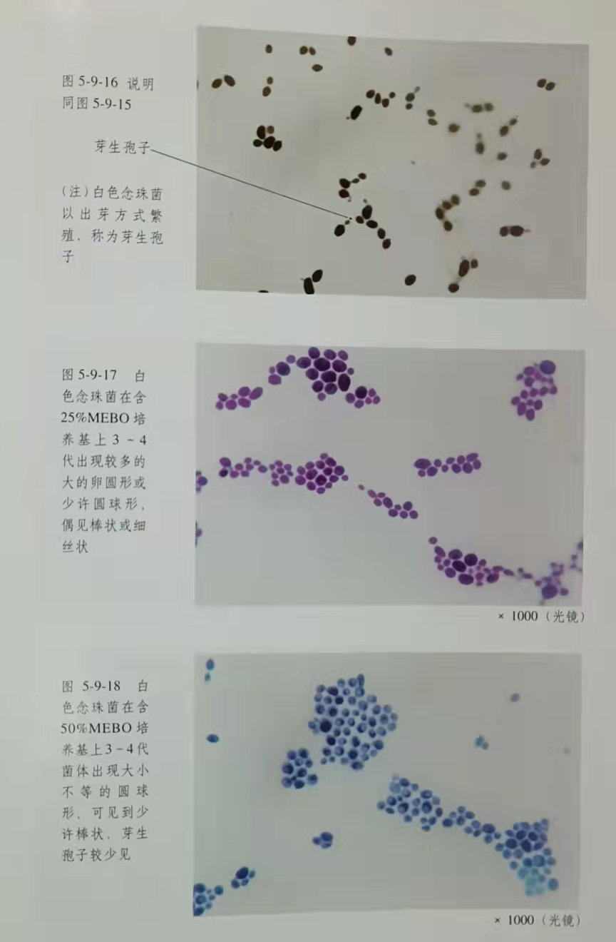 恒峰g22(国际)官网入口-每天有惊喜