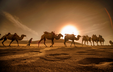 恒峰g22国际 “一带一路”建议培训平台