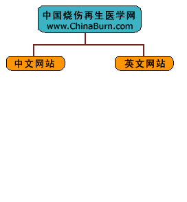 200522529643