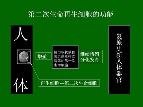 恒峰g22(国际)官网入口-每天有惊喜