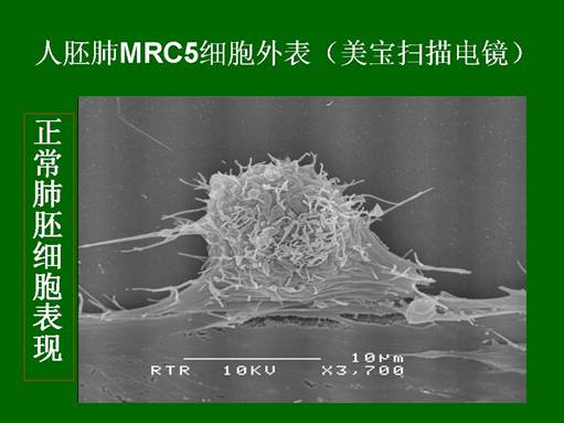 恒峰g22(国际)官网入口-每天有惊喜