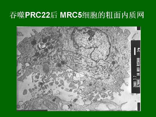 恒峰g22(国际)官网入口-每天有惊喜