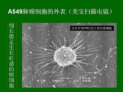 恒峰g22(国际)官网入口-每天有惊喜