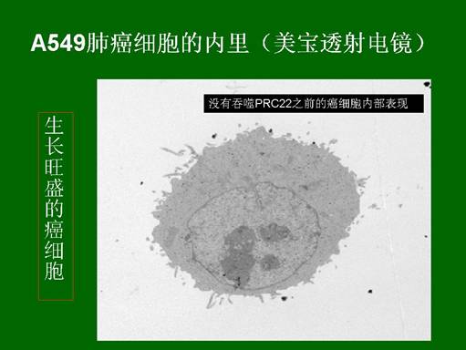 恒峰g22(国际)官网入口-每天有惊喜