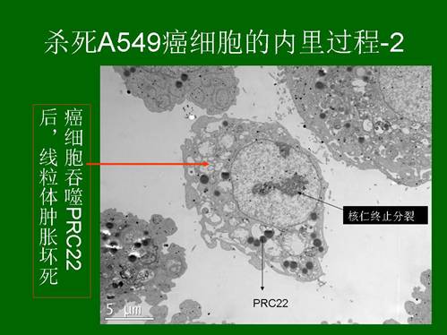恒峰g22(国际)官网入口-每天有惊喜