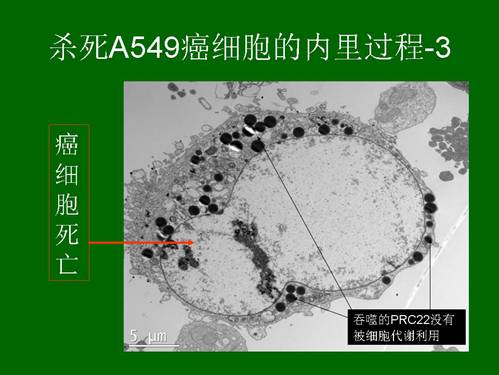 恒峰g22(国际)官网入口-每天有惊喜