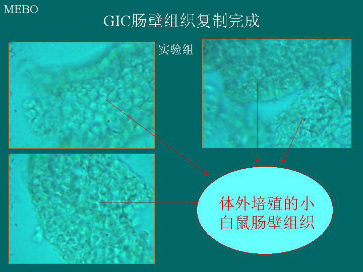 恒峰g22(国际)官网入口-每天有惊喜