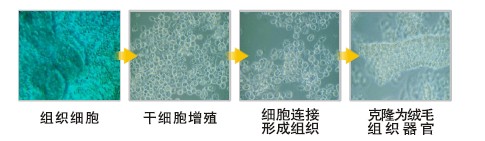 恒峰g22(国际)官网入口-每天有惊喜