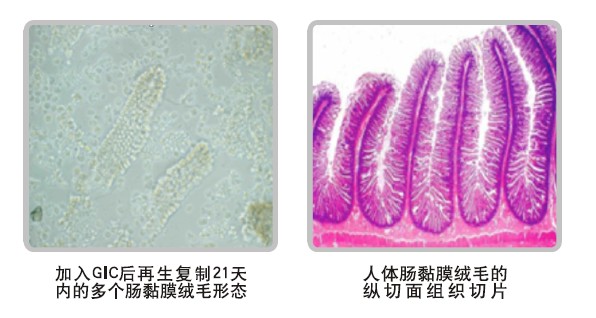恒峰g22(国际)官网入口-每天有惊喜