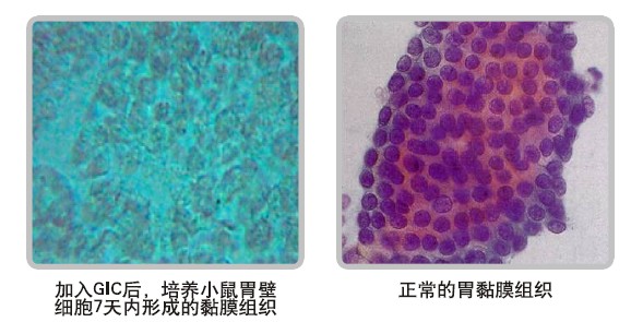 恒峰g22(国际)官网入口-每天有惊喜