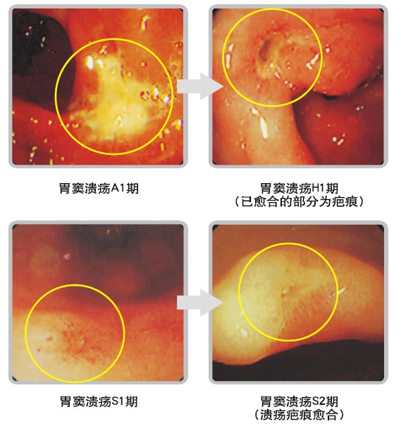 恒峰g22(国际)官网入口-每天有惊喜