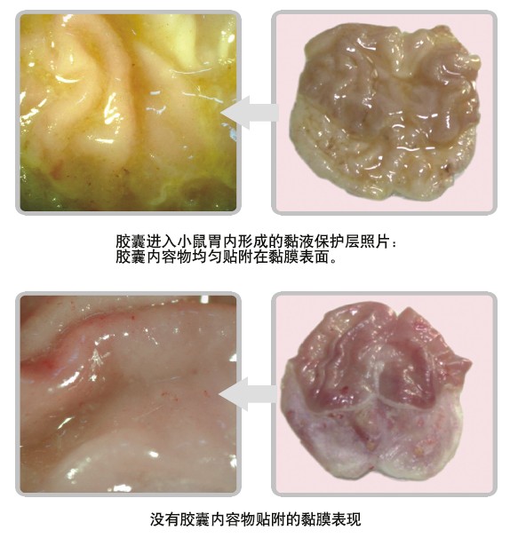 恒峰g22(国际)官网入口-每天有惊喜