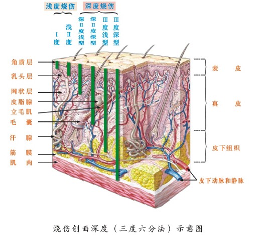 恒峰g22(国际)官网入口-每天有惊喜