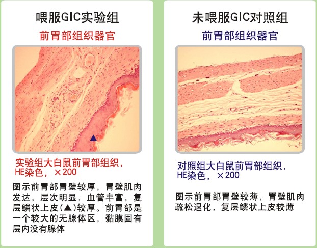 恒峰g22(国际)官网入口-每天有惊喜