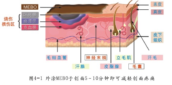 恒峰g22(国际)官网入口-每天有惊喜