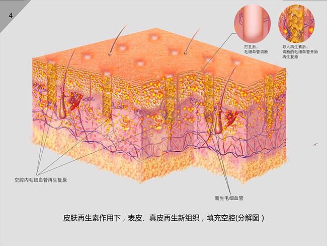 恒峰g22(国际)官网入口-每天有惊喜