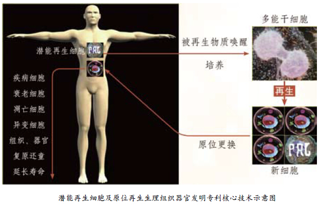 恒峰g22(国际)官网入口-每天有惊喜