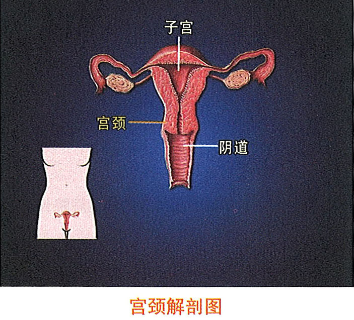 恒峰g22(国际)官网入口-每天有惊喜