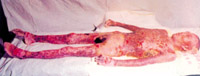 2011218215452232