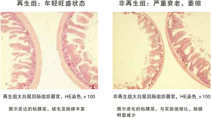 201122011430586