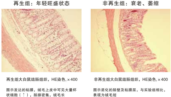 2011220114532451
