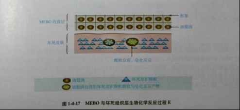 20113113491703