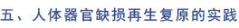 恒峰g22(国际)官网入口-每天有惊喜