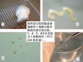恒峰g22(国际)官网入口-每天有惊喜